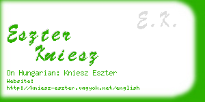 eszter kniesz business card